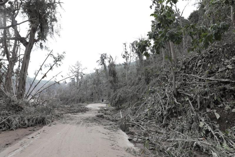 Erupsi Gunung Semeru