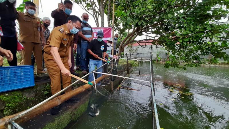 Penjualan Ikan Online Tomohon
