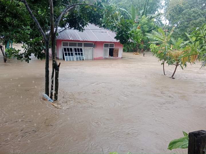 Banjir Bolmut