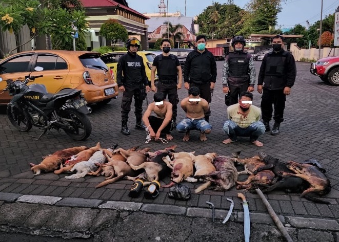 pencuri anjing potas manado