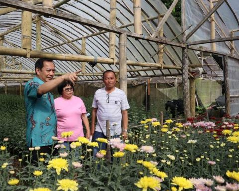 Stok Bunga TIFF 2022