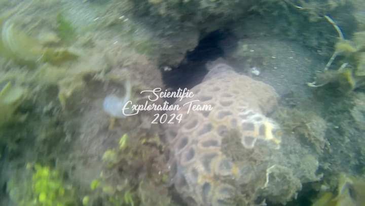 Reklamasi Pantai Manado Utara