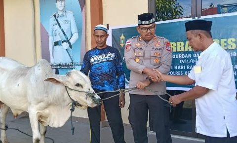polres sangihe hewan kurban