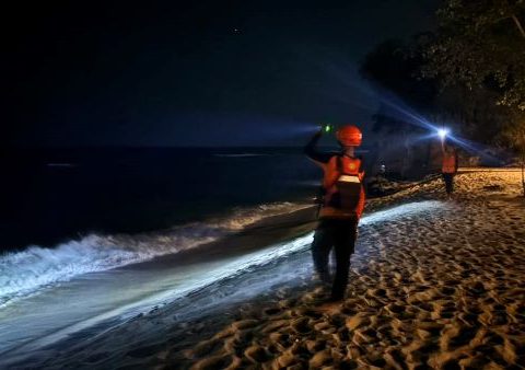 ombak pantai tuturuga